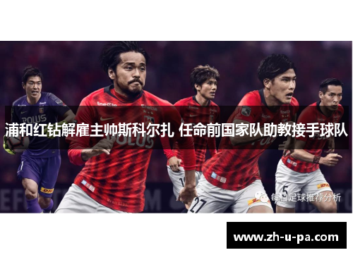 浦和红钻解雇主帅斯科尔扎 任命前国家队助教接手球队